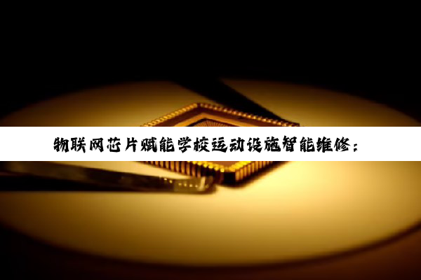 物联网芯片赋能学校运动设施智能维修:打造高效、精准的校园运动环境维护新纪元