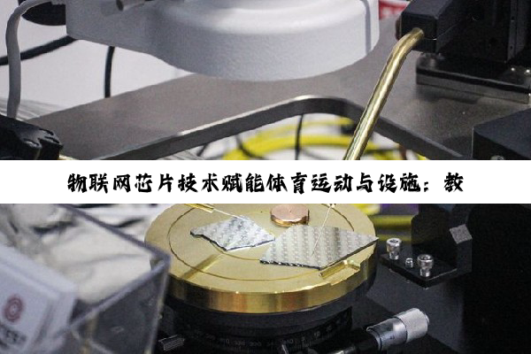 物联网芯片技术赋能体育运动与设施:教案创新实践与未来智慧体育热点反思
