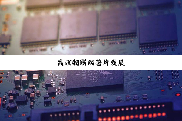武汉物联网芯片发展
