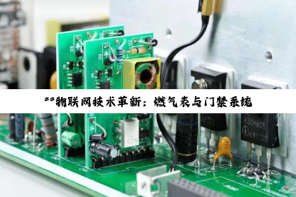 **物联网技术革新:燃气表与门禁系统的智能转型与未来展望**