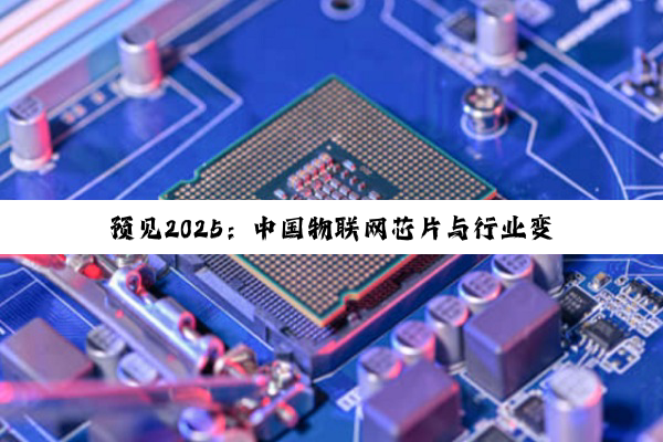 预见2025:中国物联网芯片与行业变革的深度剖析与趋势展望