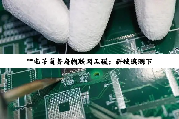 **电子商务与物联网工程:科技浪潮下的双引擎与武汉物联网企业领航探索**