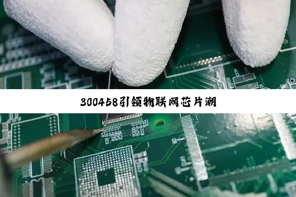 300458引领物联网芯片潮