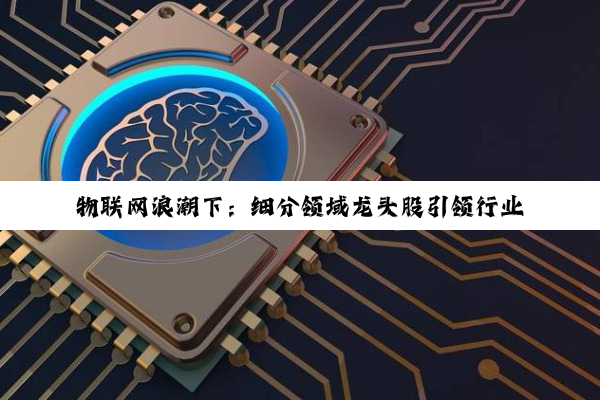 物联网浪潮下：细分领域龙头股引领行业变革与未来